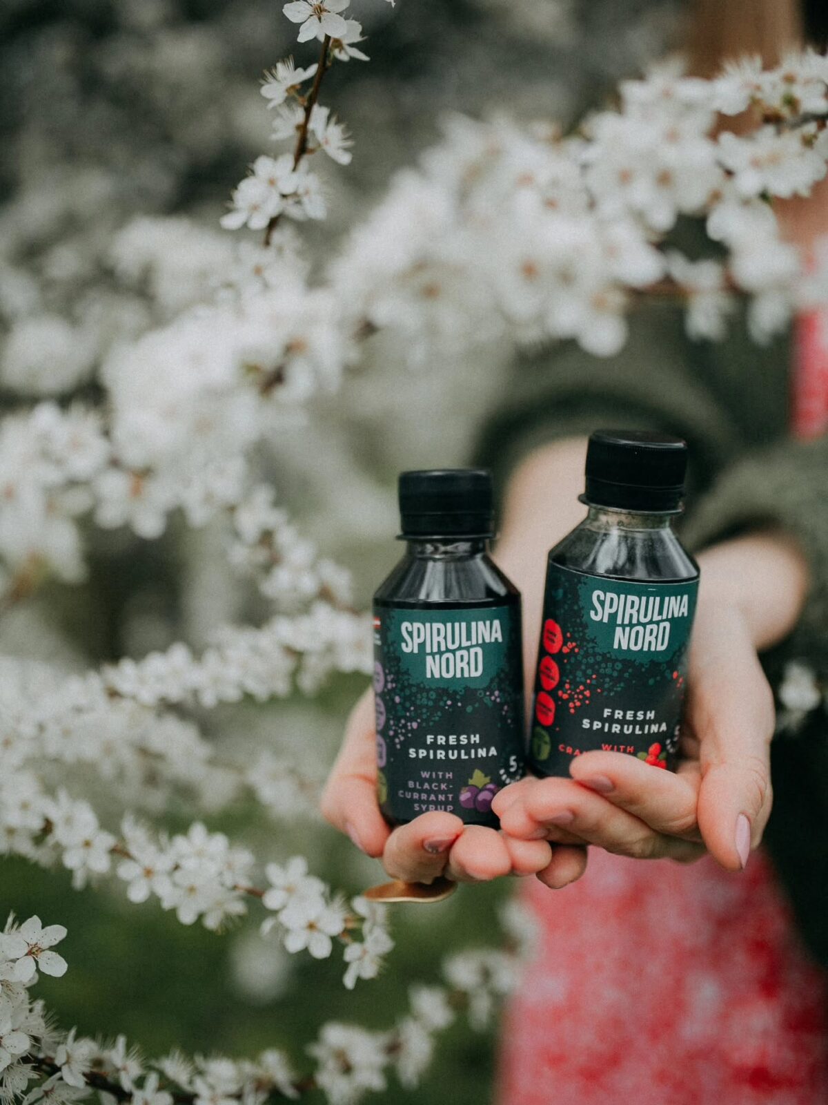 SpirulinaNord